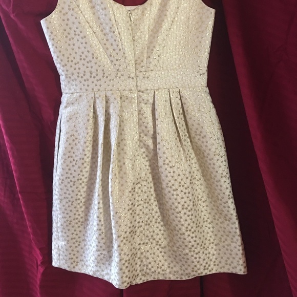 Shoshanna Isabella Sleeveless Cocktail/Party Dress, Size 8 - Picture 6 of 11